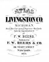 Livingston County 1875 